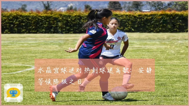水晶宫球迷对热刺球迷高歌：安静等候降级之日
